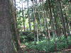 camp24 (121)_samu.gif